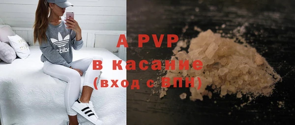 стаф Абаза