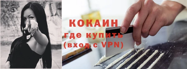 стаф Абаза