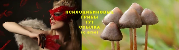 дмт Алзамай