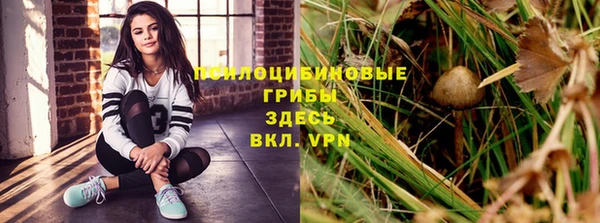 стаф Абаза