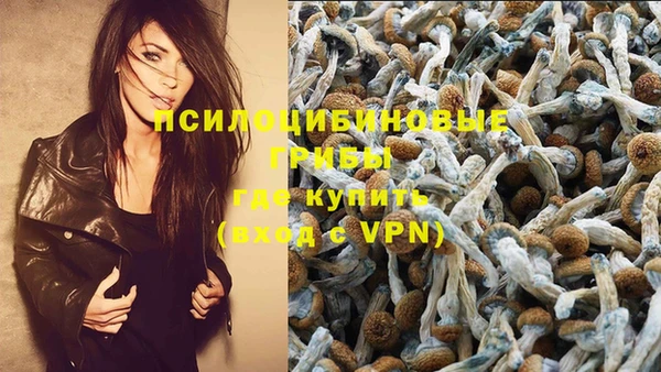 крисы Пересвет