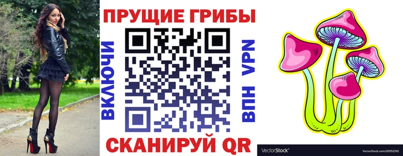 это наркотические препараты  Питкяранта  Псилоцибиновые грибы прущие грибы 